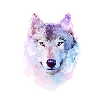 425x425 Watercolor Wolf Blue Purple And White - Wolf Watercolor