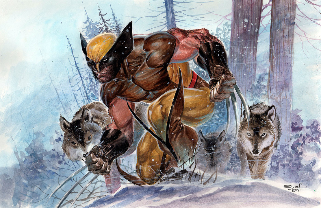 1111x719 Wolverine By Ardian Syaf - Wolverine Watercolor