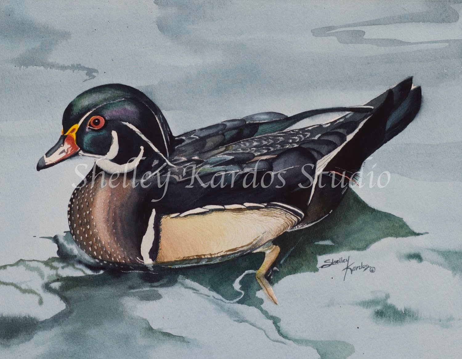 1500x1166 Watercolor North American Wood Duck Giclee Print Etsy - Wood Duck Watercolor