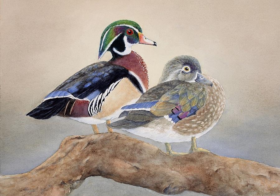 900x630 Wood Duck Couple Painting By Cherry Woodbury - Wood Duck Watercolor