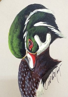 278x400 Wood Duck Original Watercolor By Art Lamay - Wood Duck Watercolor