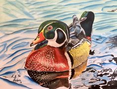 236x180 Wood Duck Art Original Watercolor Painting 14 X11 In Duck Painting - Wood Duck Watercolor