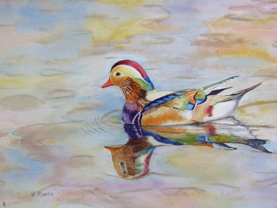 570x428 Wood Duck Watercolor Original Duck Painting Colorful Bird 8x10 Etsy - Wood Duck Watercolor
