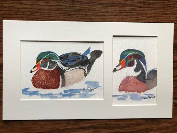 570x428 Male Wood Duck Collage An Original Set Of 2 Watercolor Etsy - Wood Duck Watercolor
