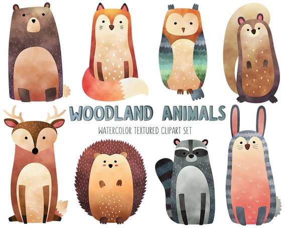 570x456 Watercolor Woodland Animals Clipart Cute Animal Clip Art Set Etsy - Woodland Animals Watercolor