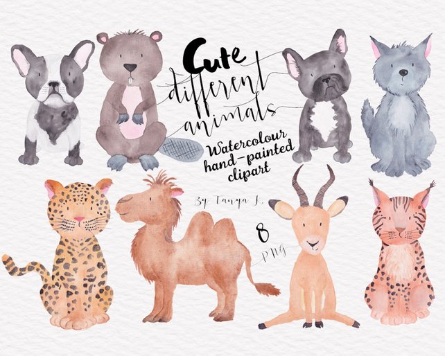 642x514 Animals Watercolor Clip Art Dogs Clipart Commercial Use Etsy - Woodland Animals Watercolor