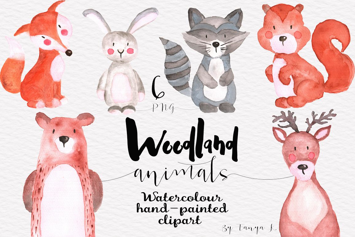 1158x772 Woodland Animals Watercolor Set - Woodland Animals Watercolor