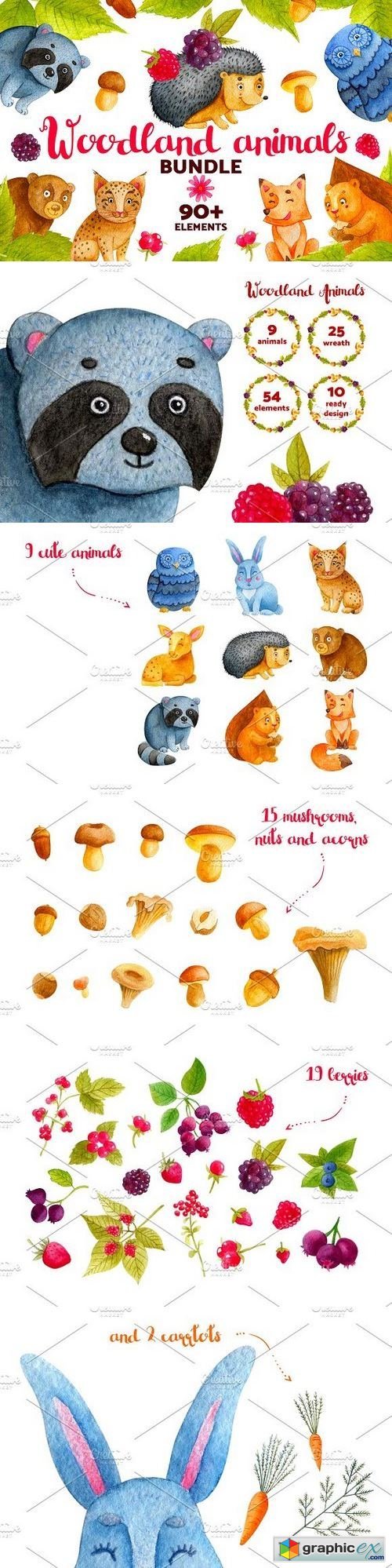500x1998 Woodland Animals. Watercolor Bundle Free Download Vector Stock - Woodland Animals Watercolor