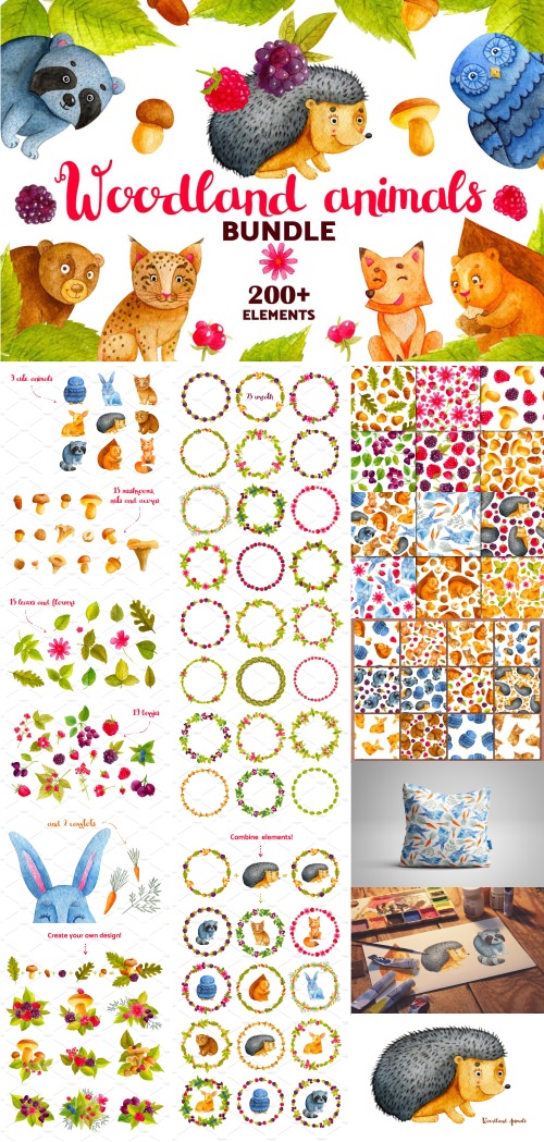 500x1049 Cm - Woodland Animals Watercolor