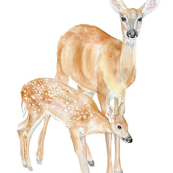 354x354 Doe And Fawn Watercolor Painting Giclee From Susan Windsor - Woodland Animals Watercolor