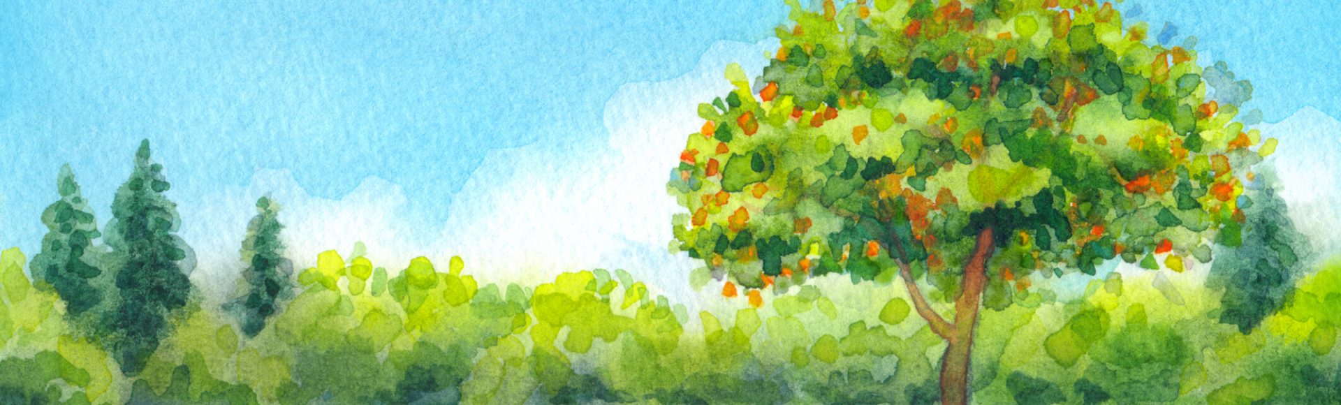1920x580 World Watercolor Month Days Of The Year - World Watercolor