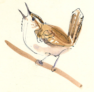 400x390 Cathy Johnson Art, Life, And Other Oddities Wren Sketch - Wren Watercolor