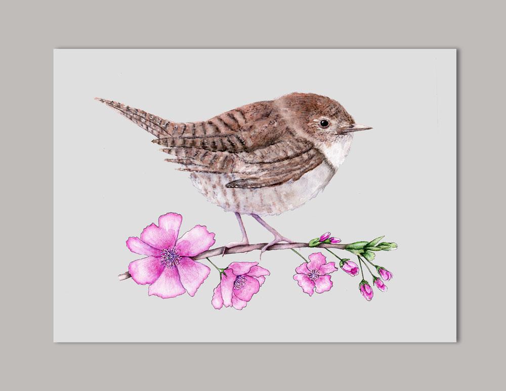1000x773 House Wren On Cherry Branch Watercolor Art Print Laura Ashton - Wren Watercolor