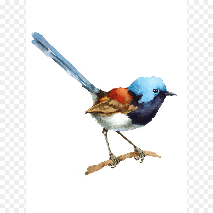 900x900 House Wren Bird Watercolor Painting - Wren Watercolor