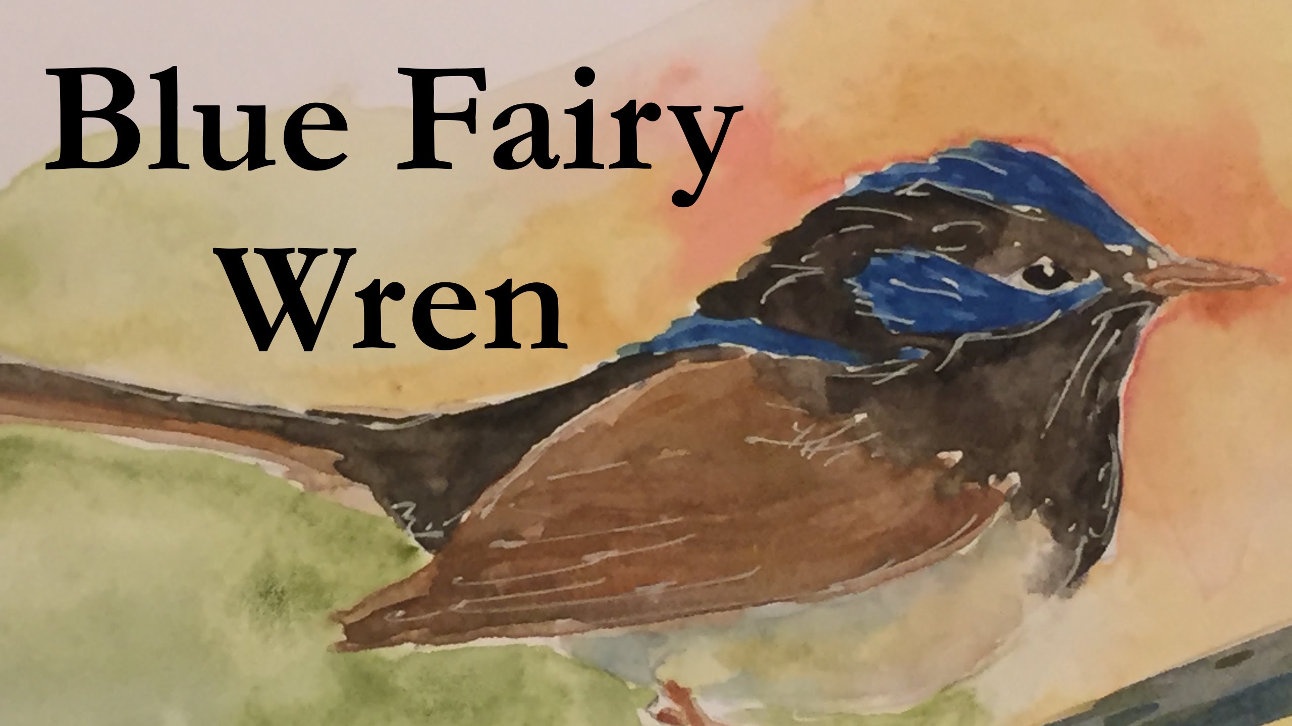 2560x1440 How To Paint A Wren In Watercolour Watercolor Bird Blue Fairy - Wren Watercolor