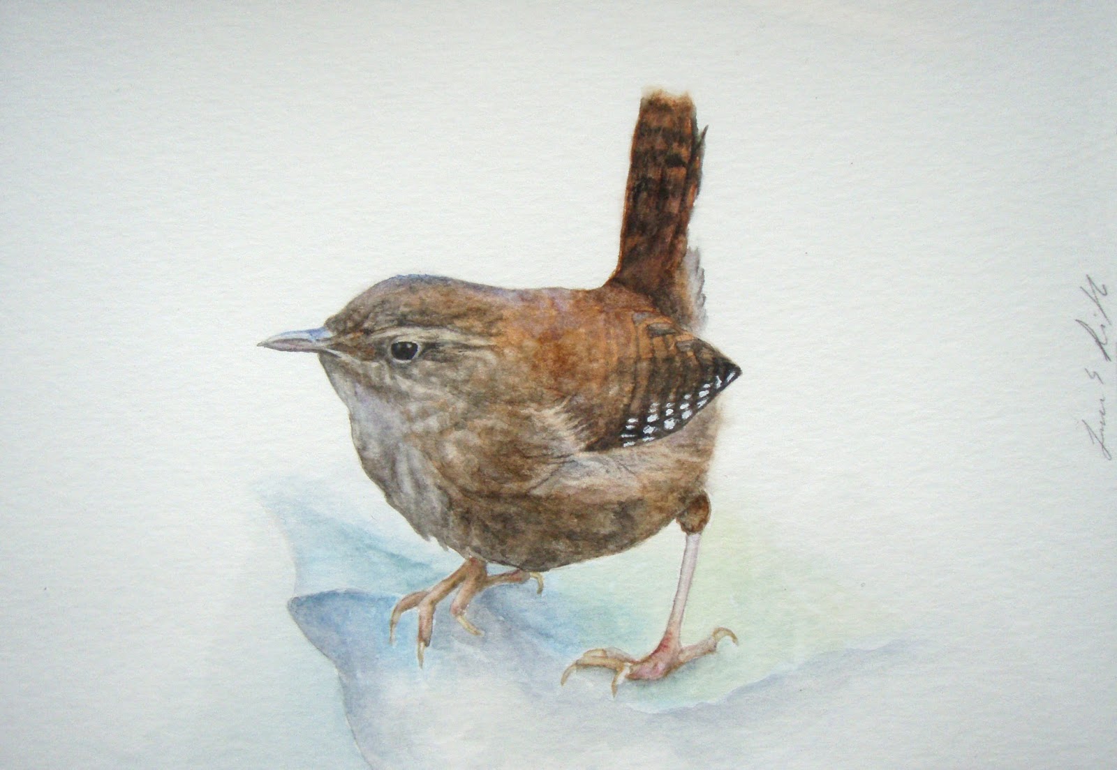 1600x1104 Laura Makes Art And Stuff Watercolor Wren - Wren Watercolor