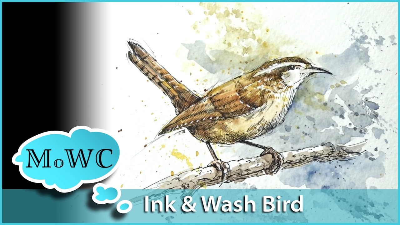 1280x720 Painting A Wren In Watercolor Line And Wash - Wren Watercolor