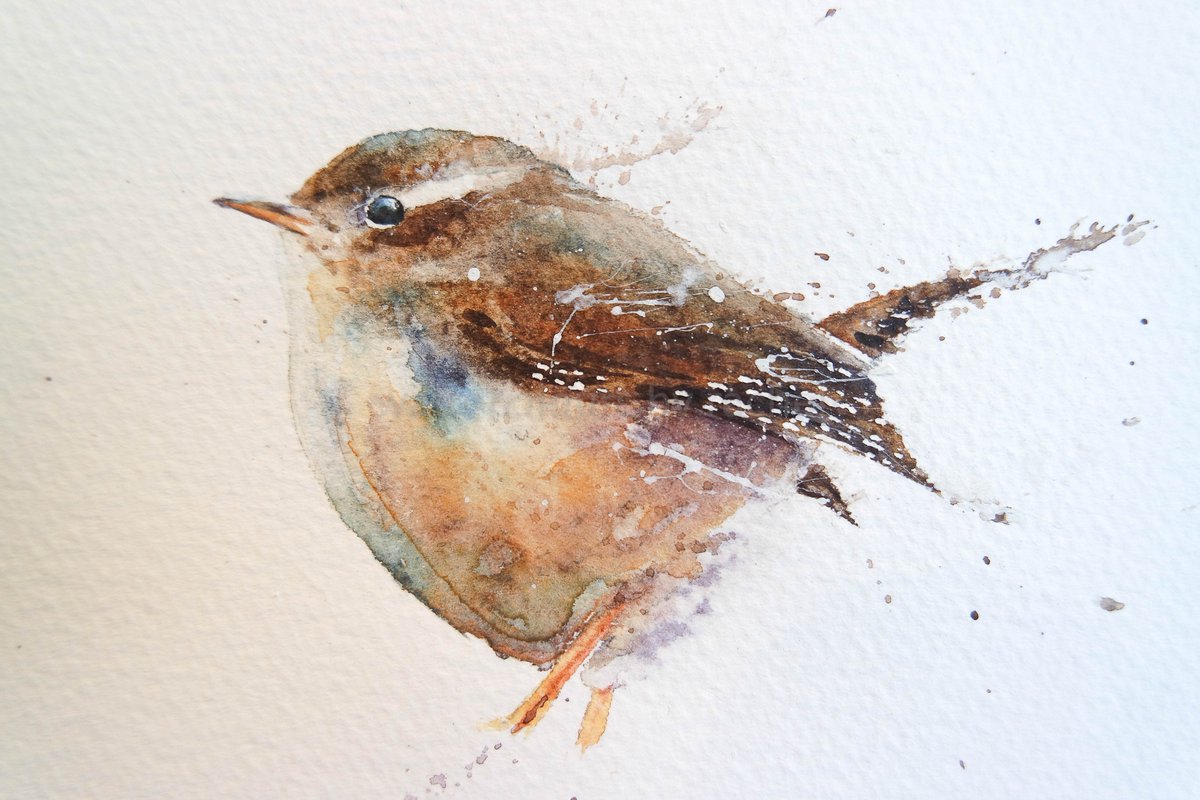 1200x800 Rachel Toll On Twitter New Work Available On The Website Https - Wren Watercolor