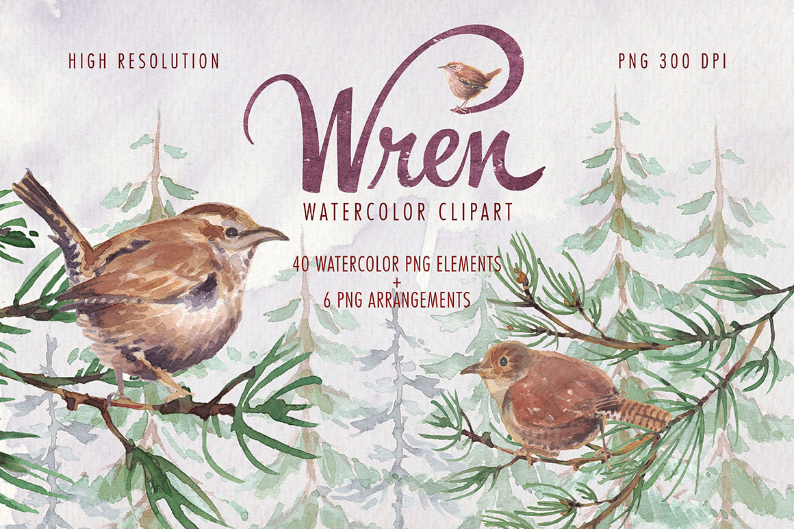 1160x772 Watercolor Wren Bird Clipart Set - Wren Watercolor