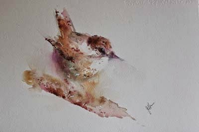 400x266 Watercolours With Life Wren In Watercolour - Wren Watercolor