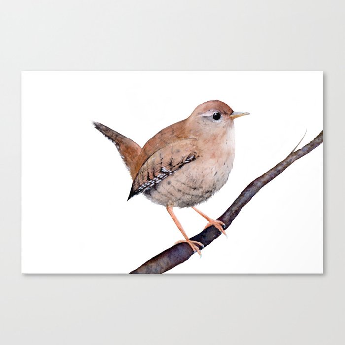 700x700 Wren, Bird, Brown Bird Watercolor Painting By Suisai Genki Canvas - Wren Watercolor