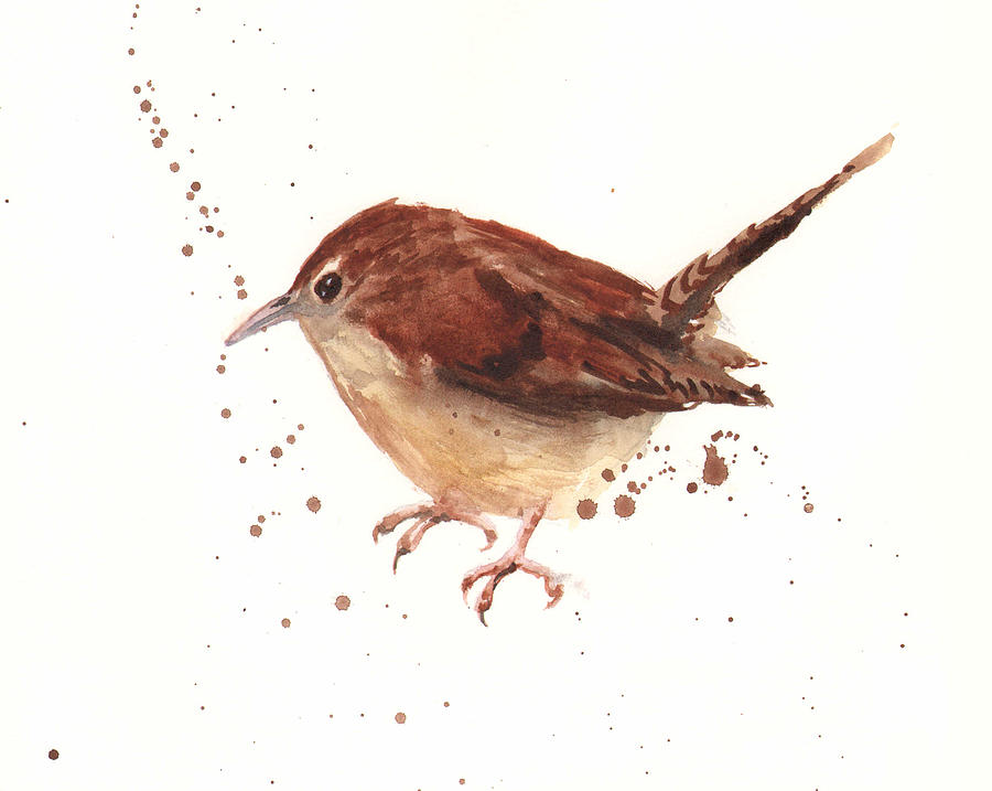 900x717 Wren Watercolor Painting By Alison Fennell - Wren Watercolor