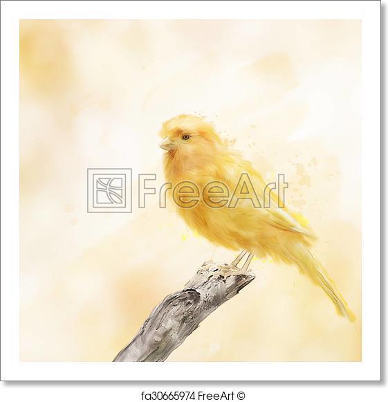561x581 Free Art Print Of Yellow Bird Watercolor. Digital Painting Of - Yellow Bird Watercolor