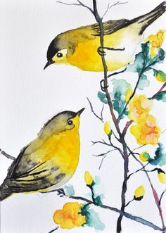236x331 Les 64 Meilleures Images Du Tableau Oiseaux Sur En 2018 - Yellow Bird Watercolor