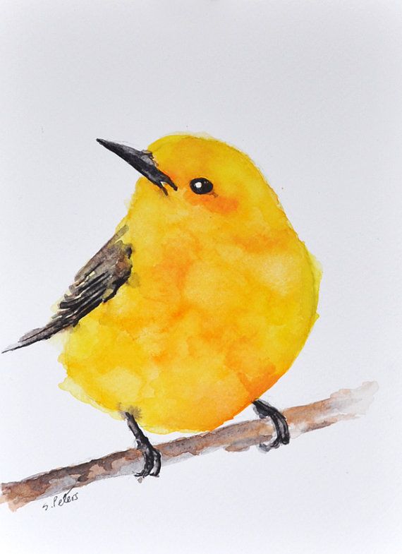 570x785 Original Watercolor Bird Painting - Yellow Bird Watercolor