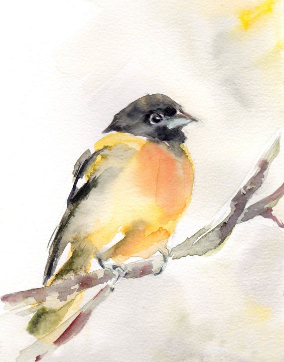 570x726 Oriole Bird Watercolor Painting Art Print, Yellow Bird Watercolour - Yellow Bird Watercolor