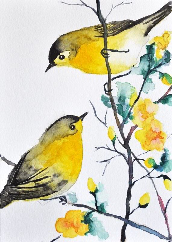 570x800 Pin By Jean Carl On Watercolor...... Bird - Yellow Bird Watercolor