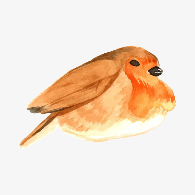 650x651 Watercolor Bird, Watercolor Vector, Bird Vector, Yellow Png And - Yellow Bird Watercolor