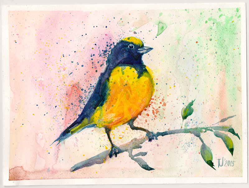 800x603 Watercolor Paintings - Yellow Bird Watercolor