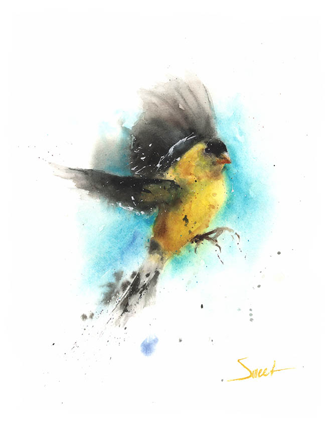 668x850 American Goldfinch Watercolor Print Watercolor Animal Paintings - Yellow Bird Watercolor