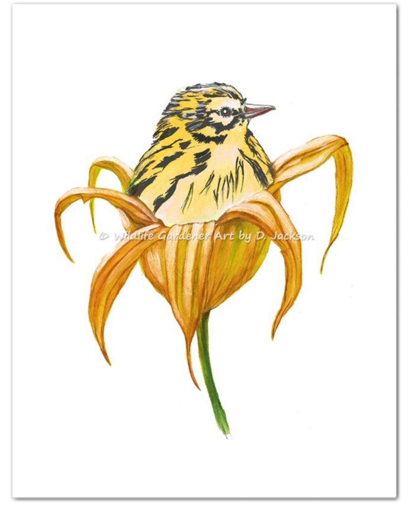 1600x1969 Yellow Bird In Orange Lily Flower Watercolor Art Print Wildlife - Yellow Bird Watercolor
