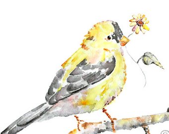 340x270 Yellow Bird Art Etsy - Yellow Bird Watercolor