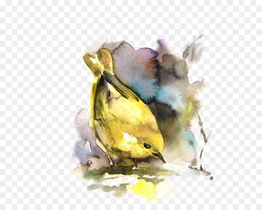 900x720 Bird Watercolor Painting Drawing - Yellow Bird Watercolor