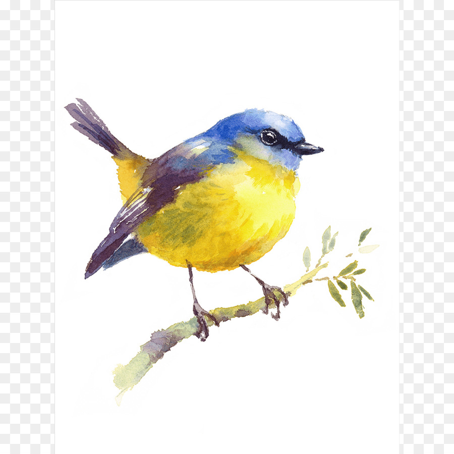900x900 Bird Watercolor Painting Drawing - Yellow Bird Watercolor