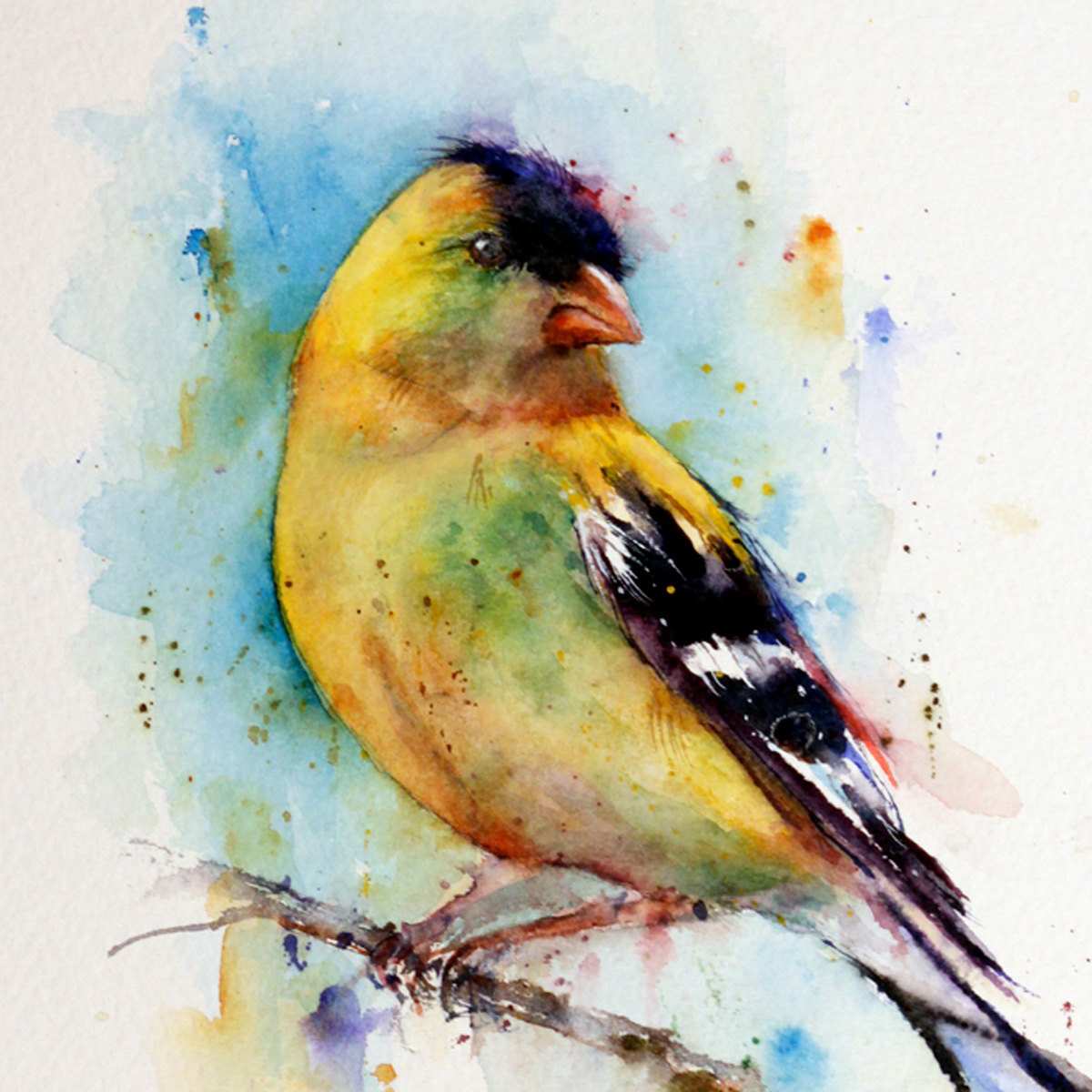 1200x1200 Birds Painting Watercolor New Bird Watercolor Robin Redbreast - Yellow Bird Watercolor