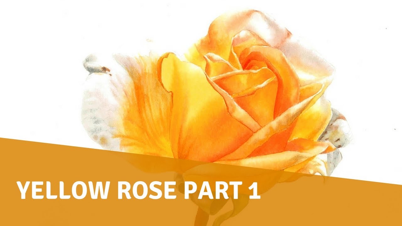 1280x720 Watercolor Tutorial - Yellow Flower Watercolor
