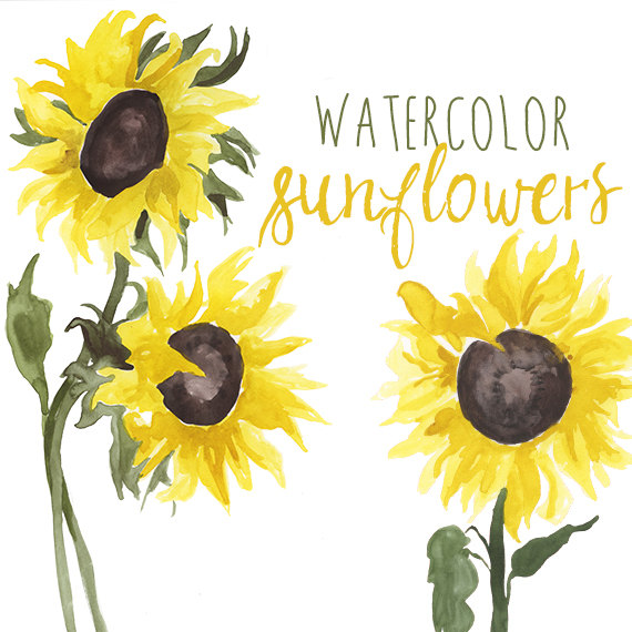 570x570 Yellow Flower Clipart Bright Flower - Yellow Flower Watercolor