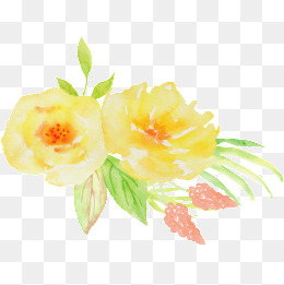 260x261 Yellow Rose Png, Vectors, Psd, And Clipart For Free Download Pngtree - Yellow Flower Watercolor