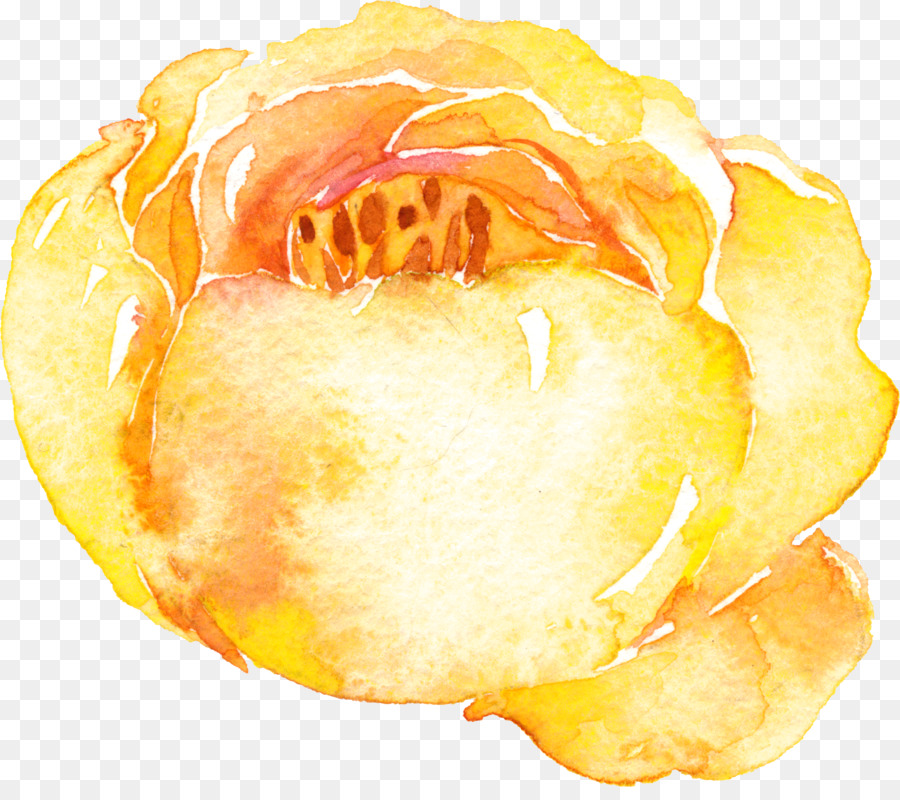 Yellow Watercolor Painting - Yellow Flower Watercolor. 