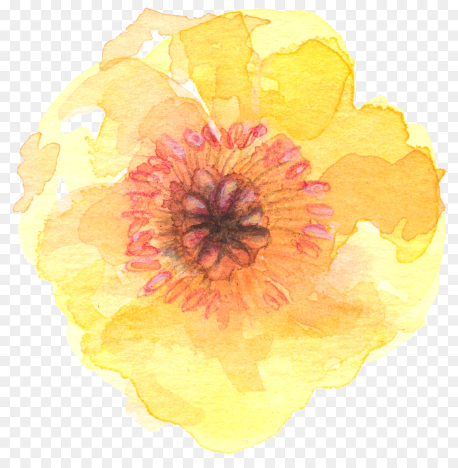 Yellow Flower Watercolor at Explore collection of
