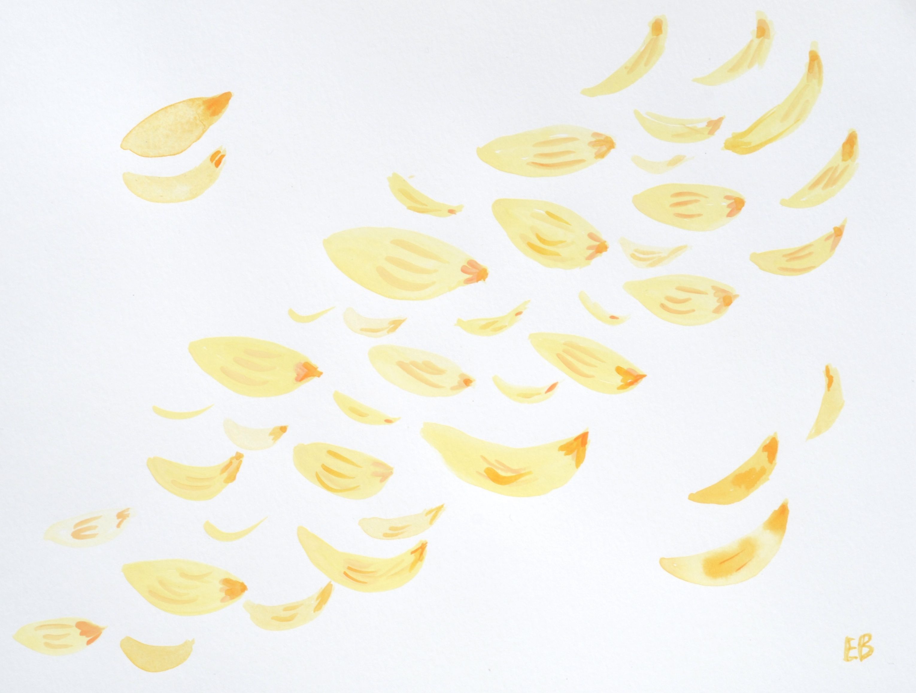 3060x2315 Gouache And Watercolour Flower Petal Paintings Wishlist Art - Yellow Flower Watercolor