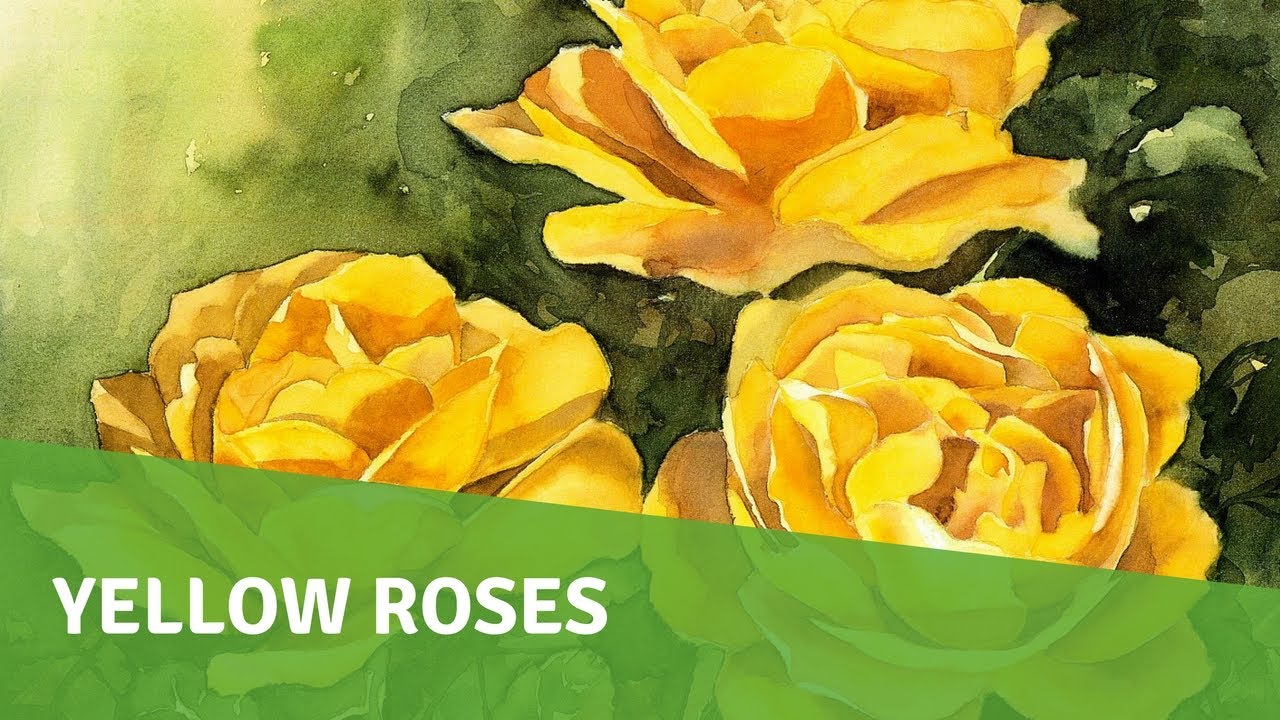 1280x720 Watercolor Painting Demo - Yellow Rose Watercolor