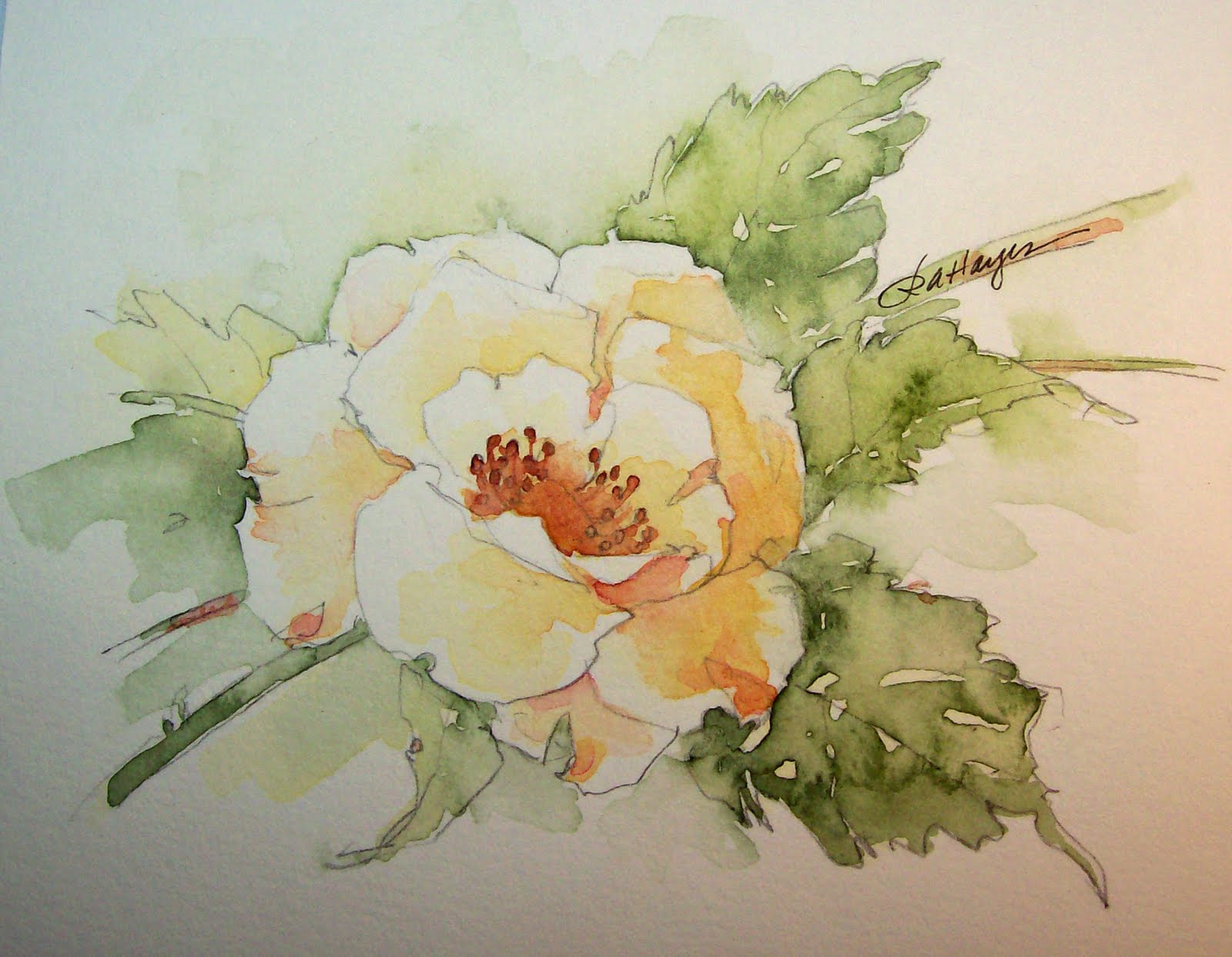 1600x1243 Watercolor Paintings By Roseann Hayes Wild Yellow Rose - Yellow Rose Watercolor