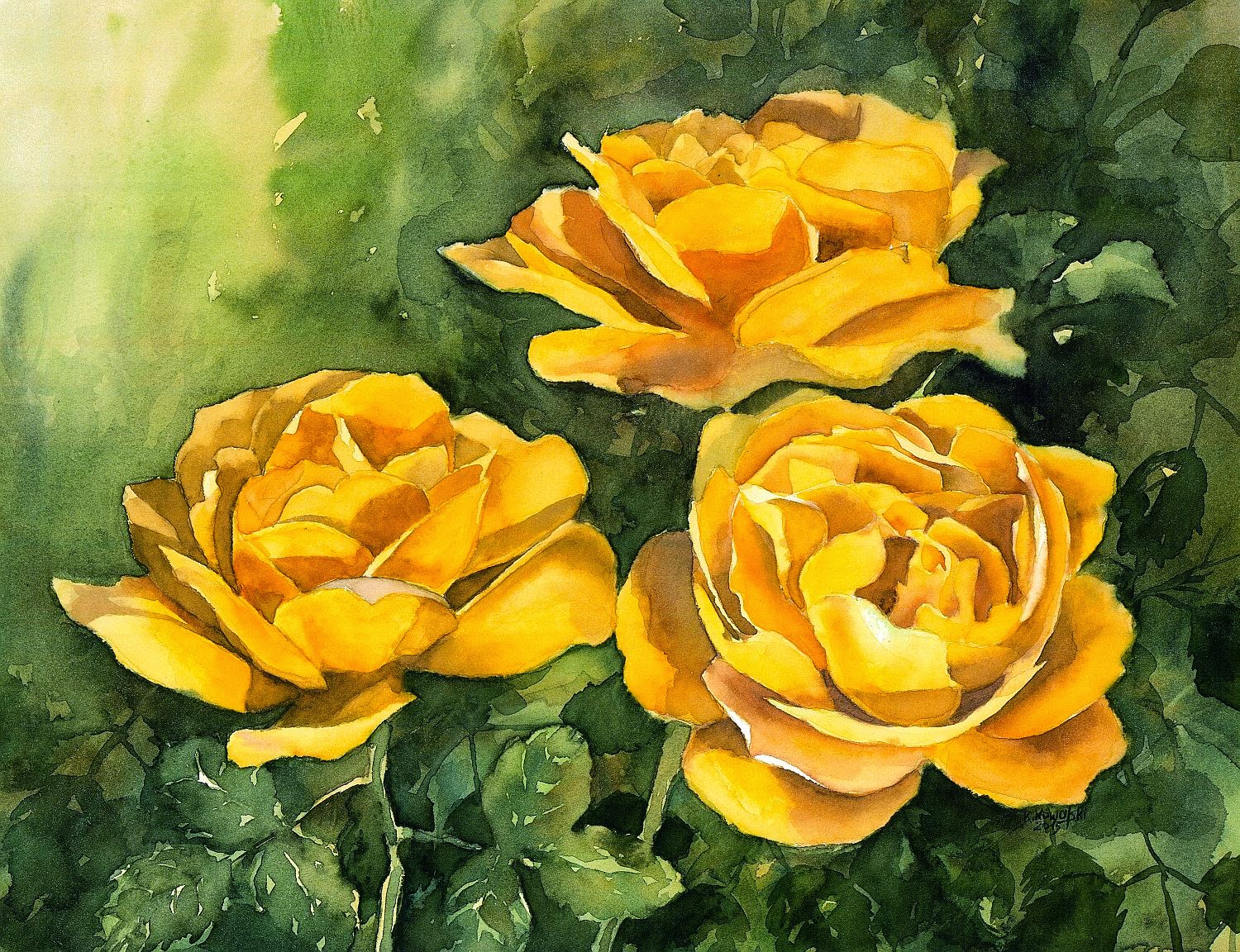 1500x1152 Watercolors By Krzysztof Kowalski Yellow Roses - Yellow Rose Watercolor