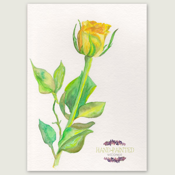 600x600 Yellow Rose - Yellow Rose Watercolor