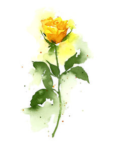 232x300 Yellow Rose Floral Watercolor Painting 11 X 14 Art Print By Artist - Yellow Rose Watercolor